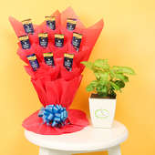 Syngonium Chocolate Combo - Foliage Plant Indoors in Floweraura Chatura Vase with Bouquet of 10 Dairy Milk Chocolates