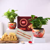 Syngonium Money Plant With Designer Rakhis N Patisa