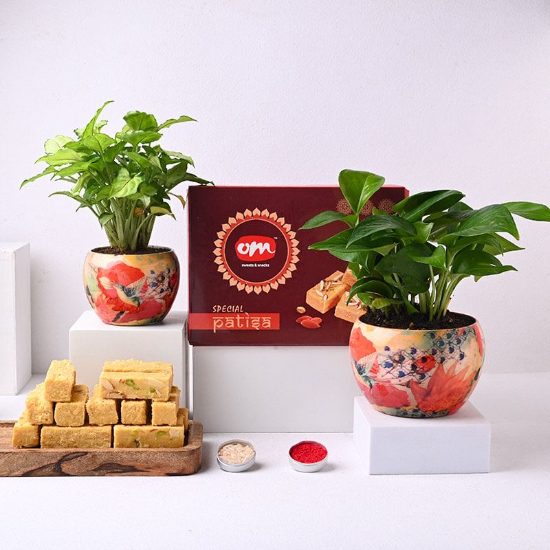 Product Image Video