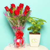 Syngonium N Roses - Foliage Plant Indoors in Floweraura Chatura Vase with Bunch of 10 Red Roses