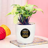 Syngonium Plant in White Vase for Daddy