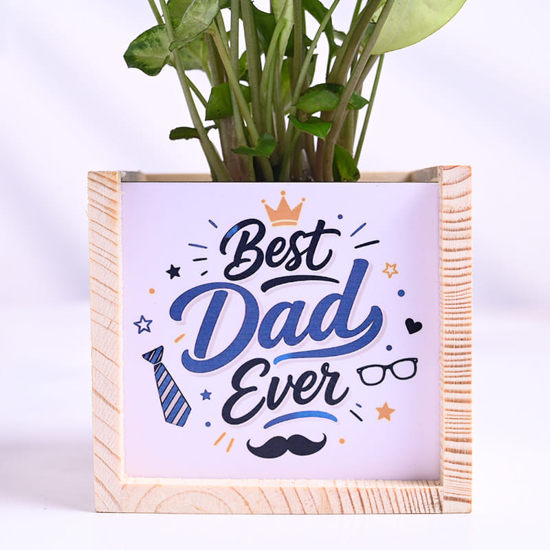 Syngonium Plant In Best Dad Pot