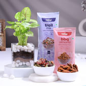 Syngonium Plant In Glass Pot With Nuts Mix