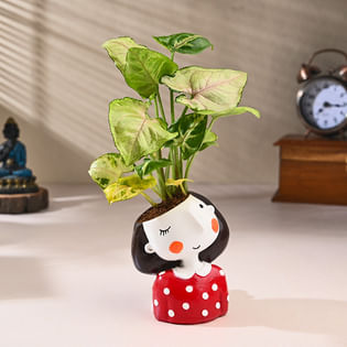 Syngonium Plant In Quirky Girl Ceramic Pot