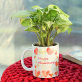 Syngonium Plant in Personalised Anniversary Mug