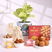 Syngonium Plant N Diwali Goodies Hamper