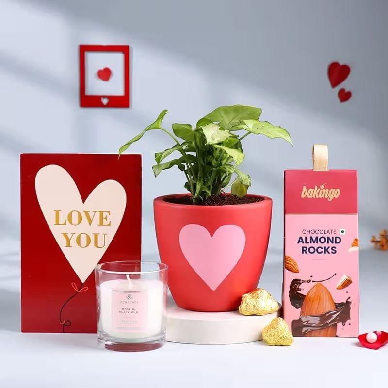 Syngonium Plant N Love Treasures Hamper