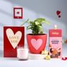 Syngonium Plant N Love Treasures Hamper