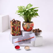Syngonium Plant With Designer Rakhi And Chocolates
