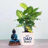 Syngonium Plant in White Vase for Daddy