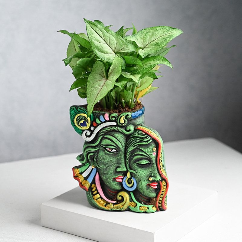 Syngonium Plant with Radha Krishna Planter Online 