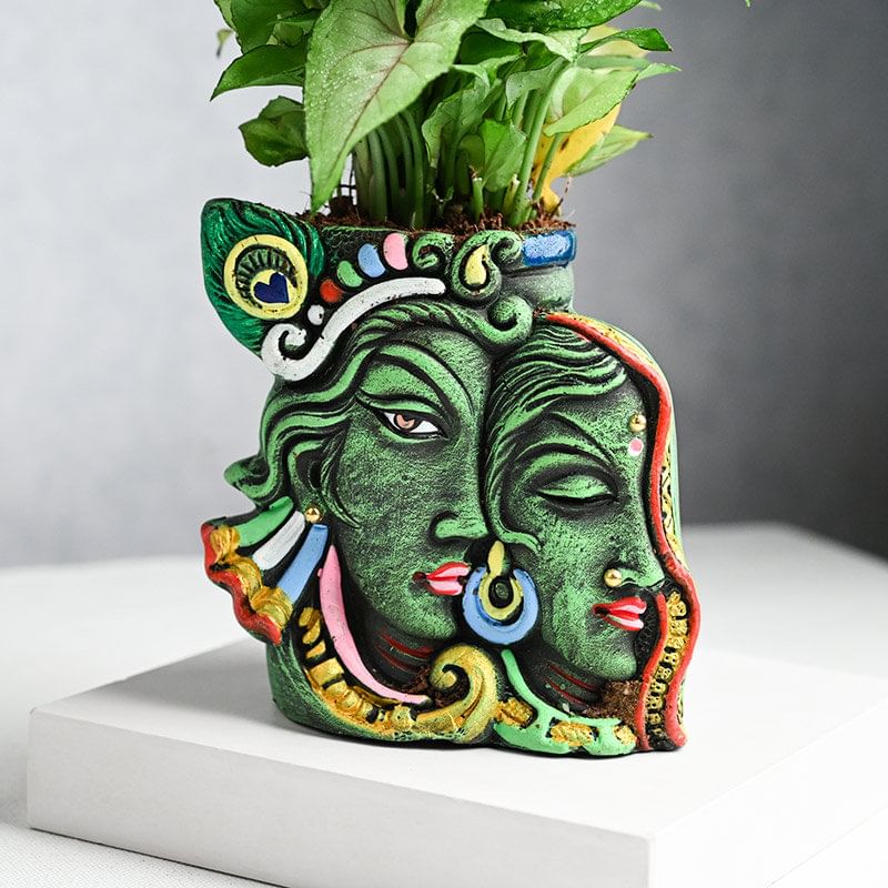 Send Syngonium Plant with Radha Krishna Planter Online 