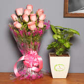 Syngonium Pretty Rose Combo - Foliage Plant Indoors in FlowerAura Chatura Vase with Bunch of 10 Pink Roses
