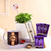 Syngonium With Mug N Rakhi Hamper