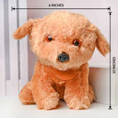 Buy Take Me Home Please Small 10 Inch for Teddy Day