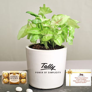 Tally Wedding Hamper