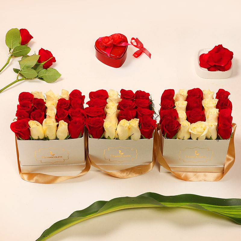 Beautiful Rose Box