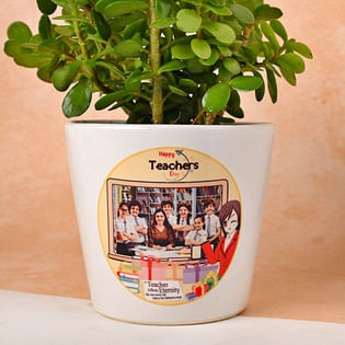 Jade Plant Online