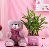 Teddy Day Layered Bamboo With Teddy Bear