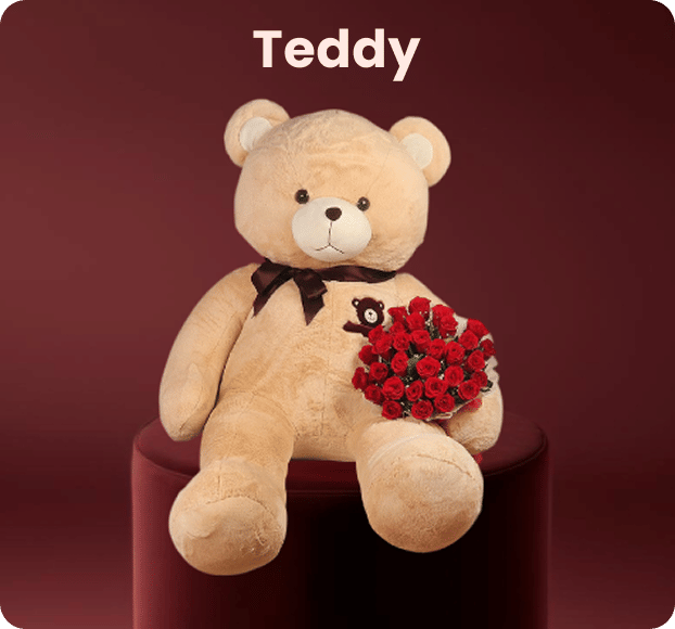 Valentine's Day Soft Toys_2