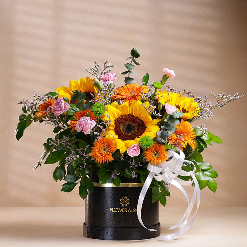 The Bright Bloom Story