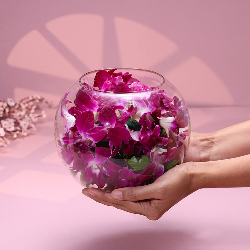 The Charm Of Orchids In Soft Hours