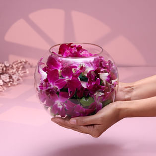 The Charm Of Orchids In Soft Hours