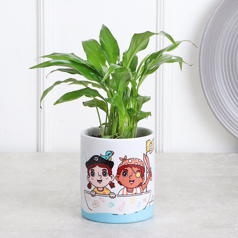 The Childish Peace Lily