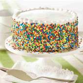 The Colourful Delicacy - Celebration Cake