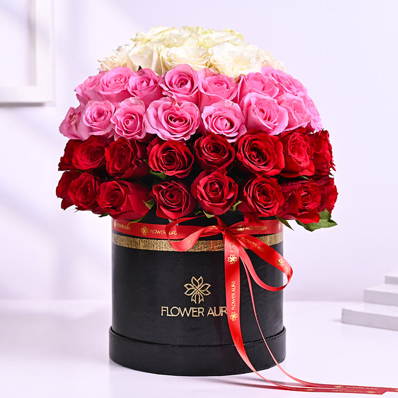 Product Image Video