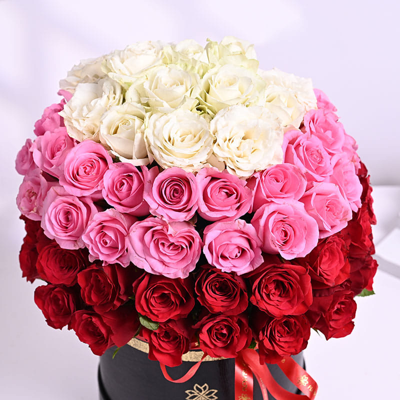 Product Image Video
