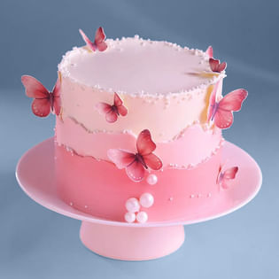 Blush Butterfly Layer Cake