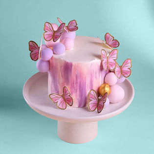 Butterfly Charm Theme Cake