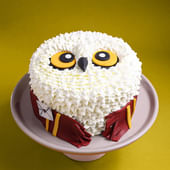 Harry Potter Hedwig Owl Cake