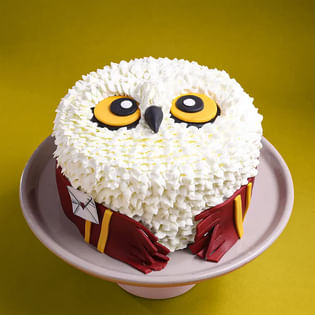 Harry Potter Hedwig Owl Cake