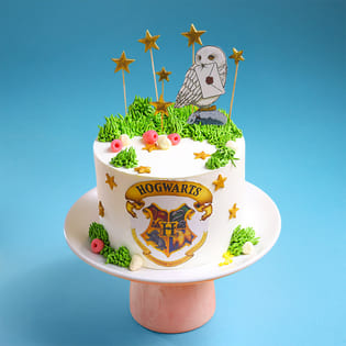 Wizards Of Hogwarts Cake