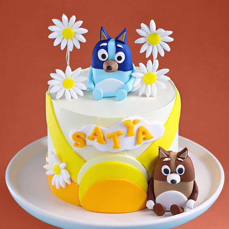 Product Image Video