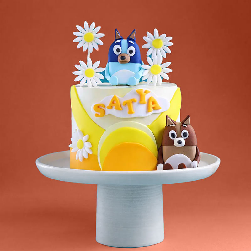 Product Image Video