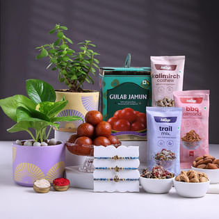 Three Divine Rakhis With Plants N Treats