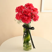 Timeless Pink Carnations
