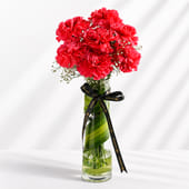 Timeless Pink Carnations