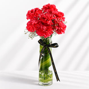 Timeless Pink Carnations