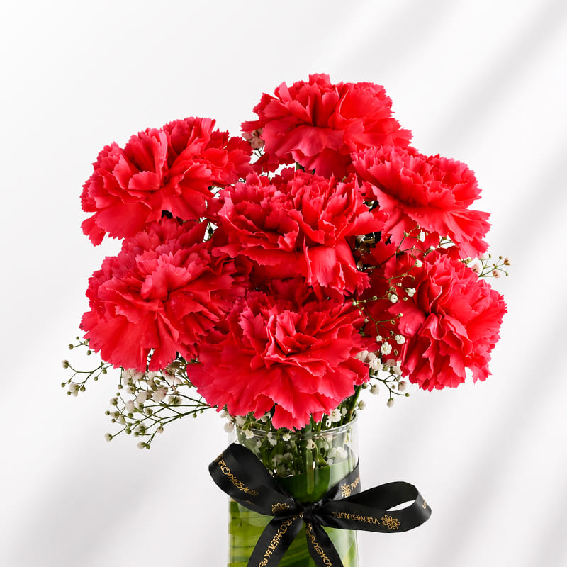 Timeless Pink Carnations