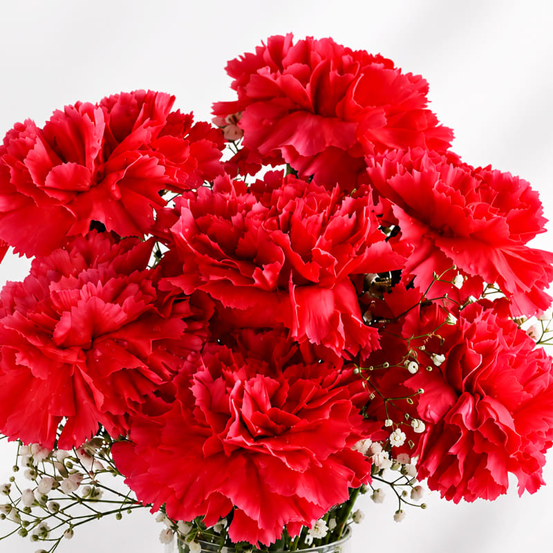 Timeless Pink Carnations