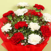 Bunch of 12 Red and White Carnations - CLOSE UP