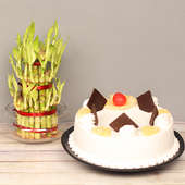 3 Layer Lucky Bamboo with Pineapple Cake Combo