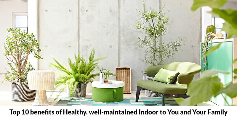 Top 10 Benefits of Healthy, Well Maintained Indoor for You and Your Family