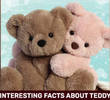 Top 10 Interesting Facts About Teddy Bears