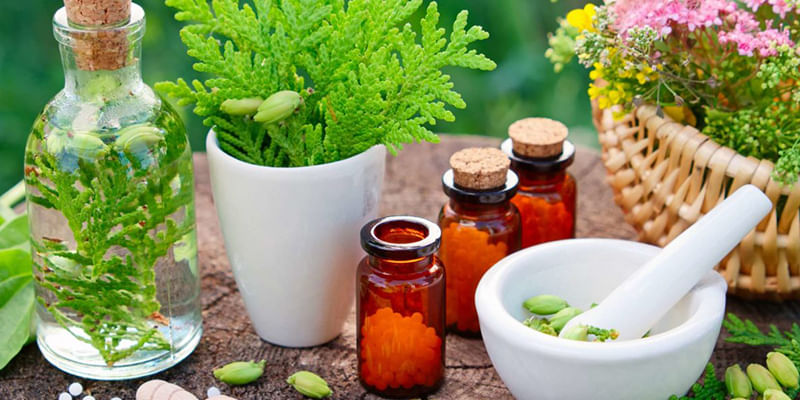 Top Homeopathic Plants, Remedies, and Their Uses