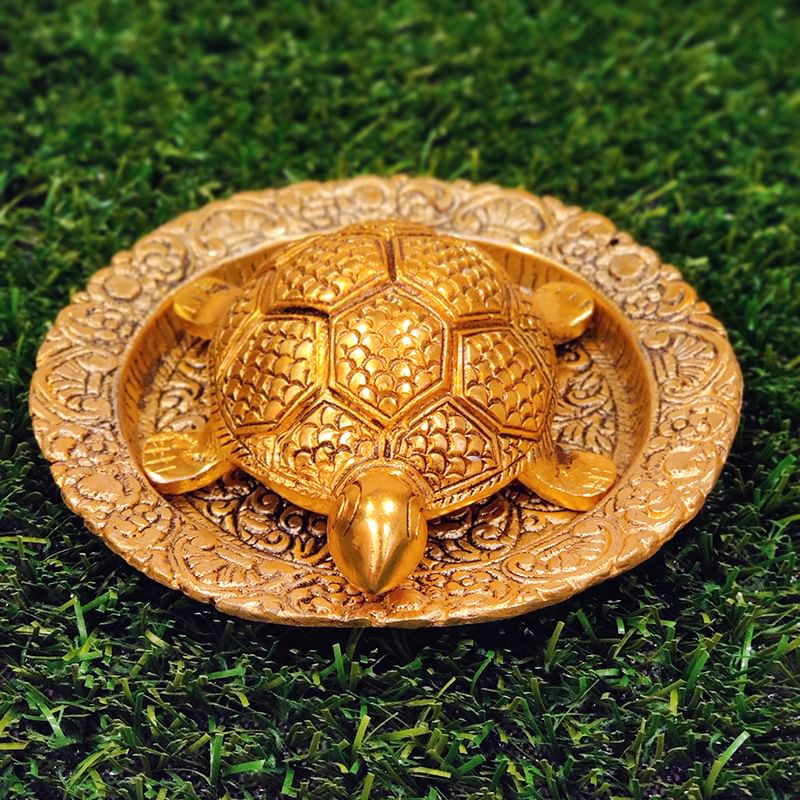 Tortoise On Plate Idol